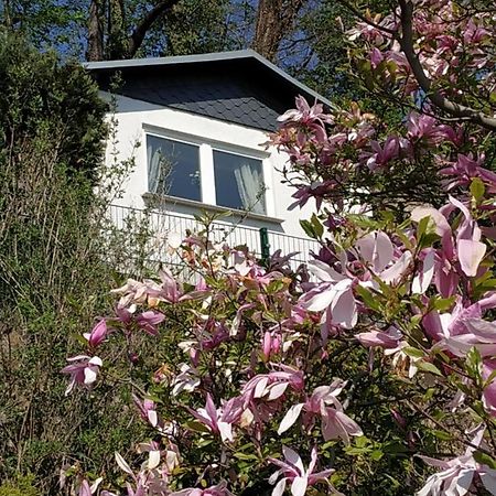 Das Ferienhaus Mit Aussicht Pirna Zewnętrze zdjęcie