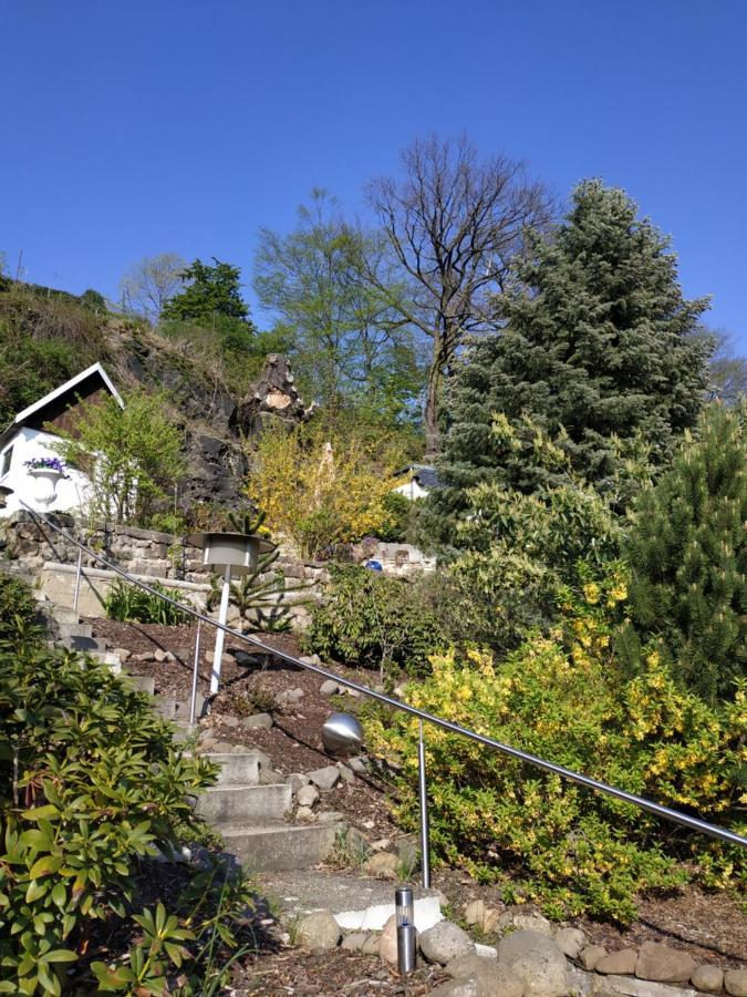 Das Ferienhaus Mit Aussicht Pirna Zewnętrze zdjęcie