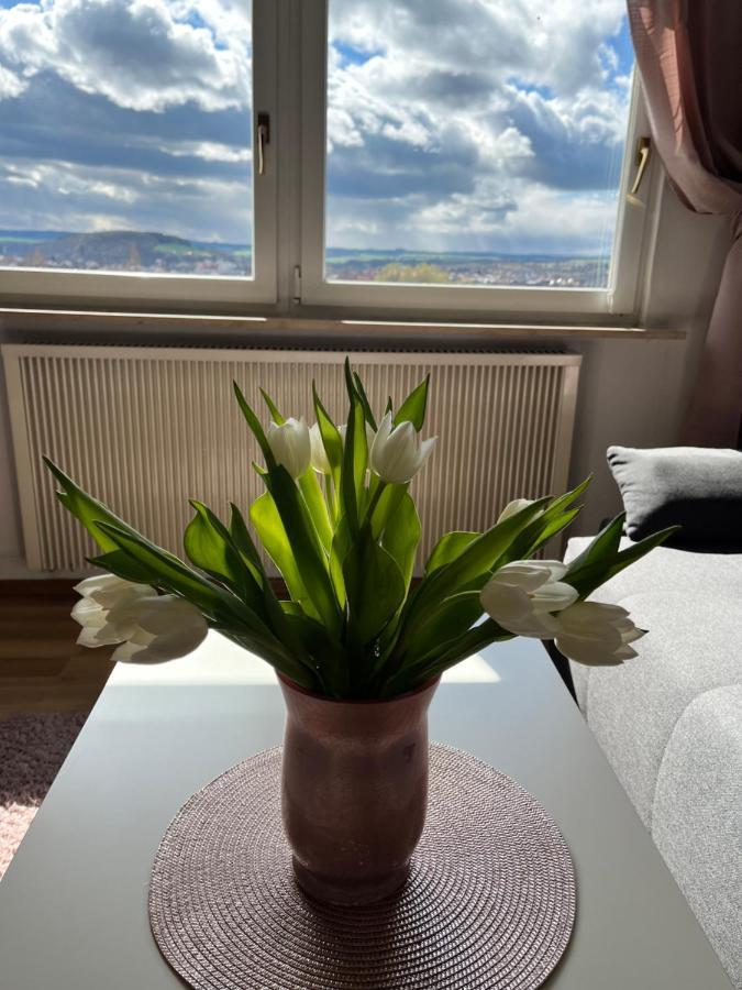 Das Ferienhaus Mit Aussicht Pirna Zewnętrze zdjęcie